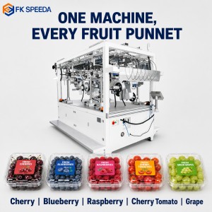 Customizable Fruit Tray Labeling Machine 6 Heads Bottom Sticker Applicator PET Blister Clamshell Produce Line